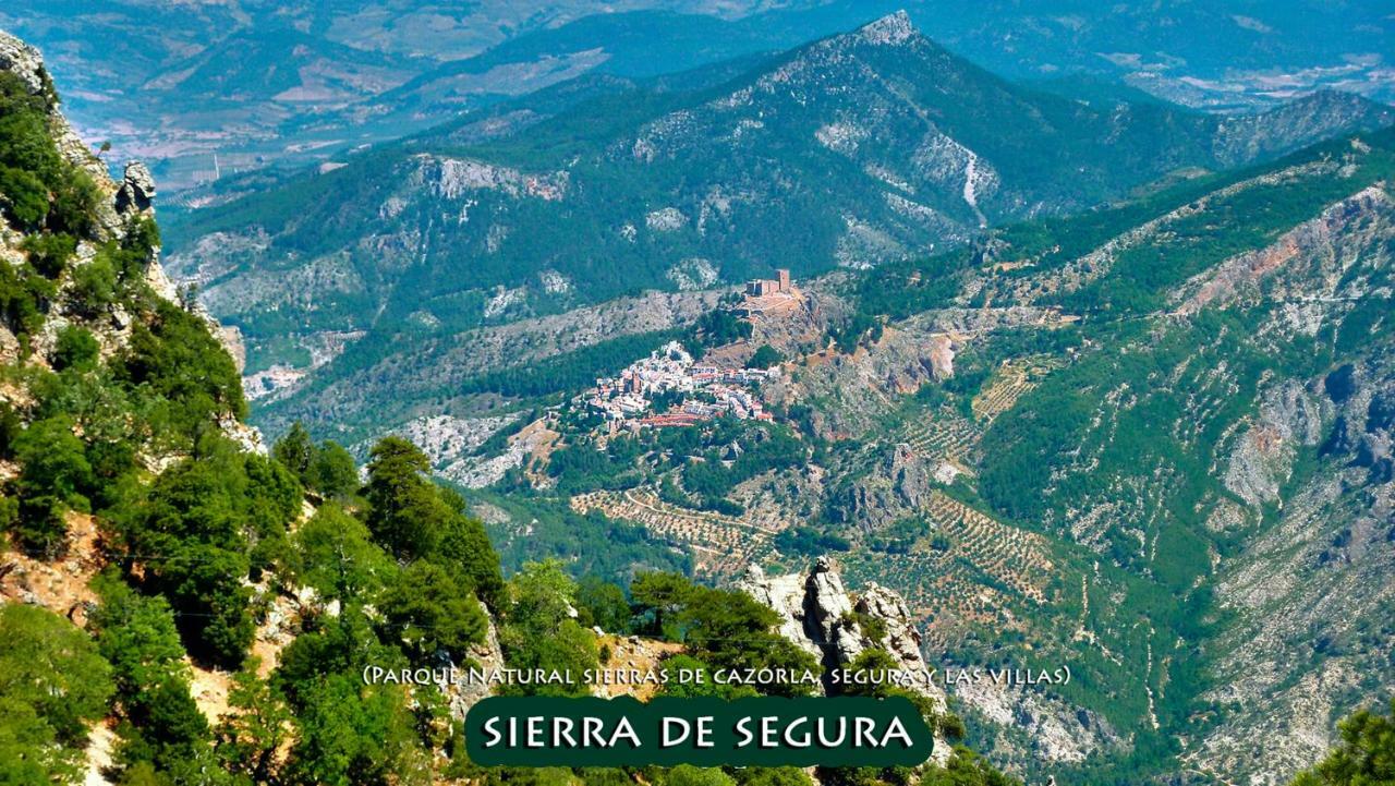 La Vieja Parra Casa de hóspedes La Puerta de Segura Exterior foto